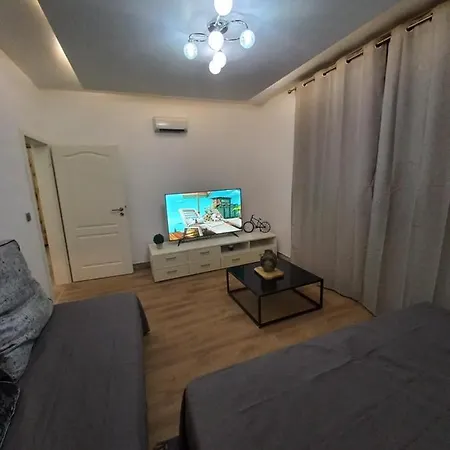 Apartment Le Gerwig Centre Colmar